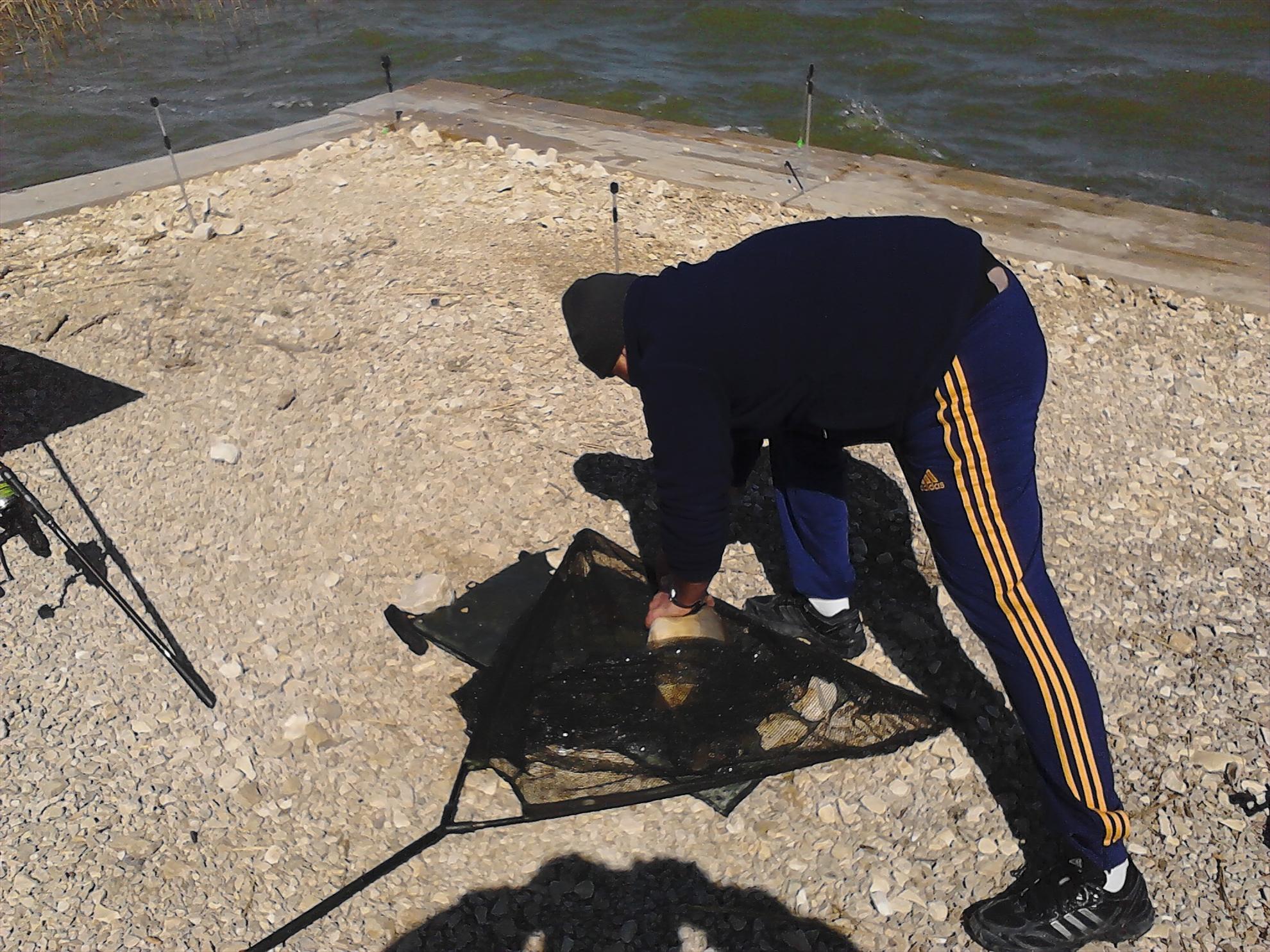 corbu - img201304171059110.jpg